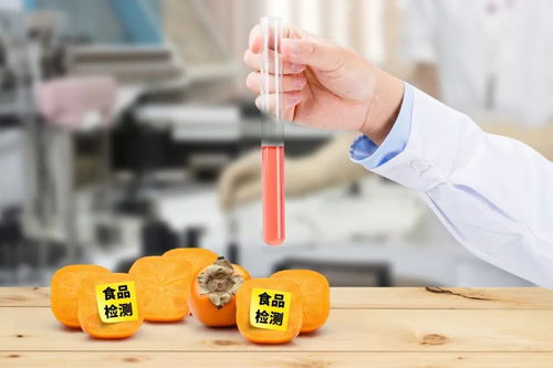 史上最嚴(yán)《四川省中小學(xué)校食品安全管理辦法》正式實(shí)施，守護(hù)學(xué)生餐飲服務(wù)安全